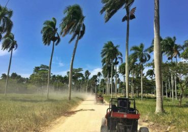 Visite en buggy des dunes